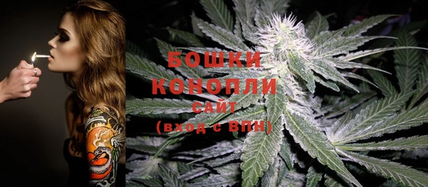 кокс Осинники